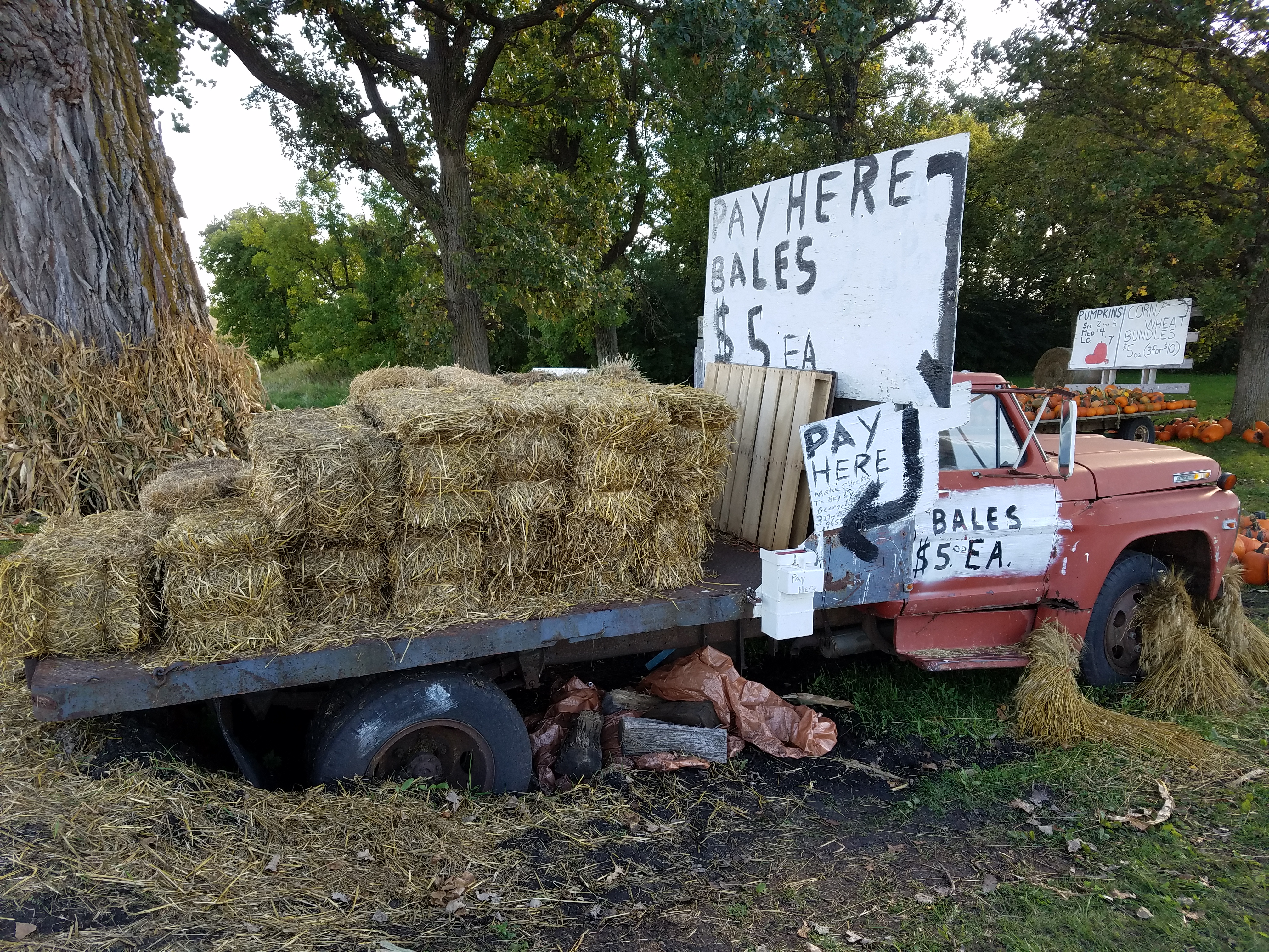 hay-bales-on-flat-bed-truck-739.jpg