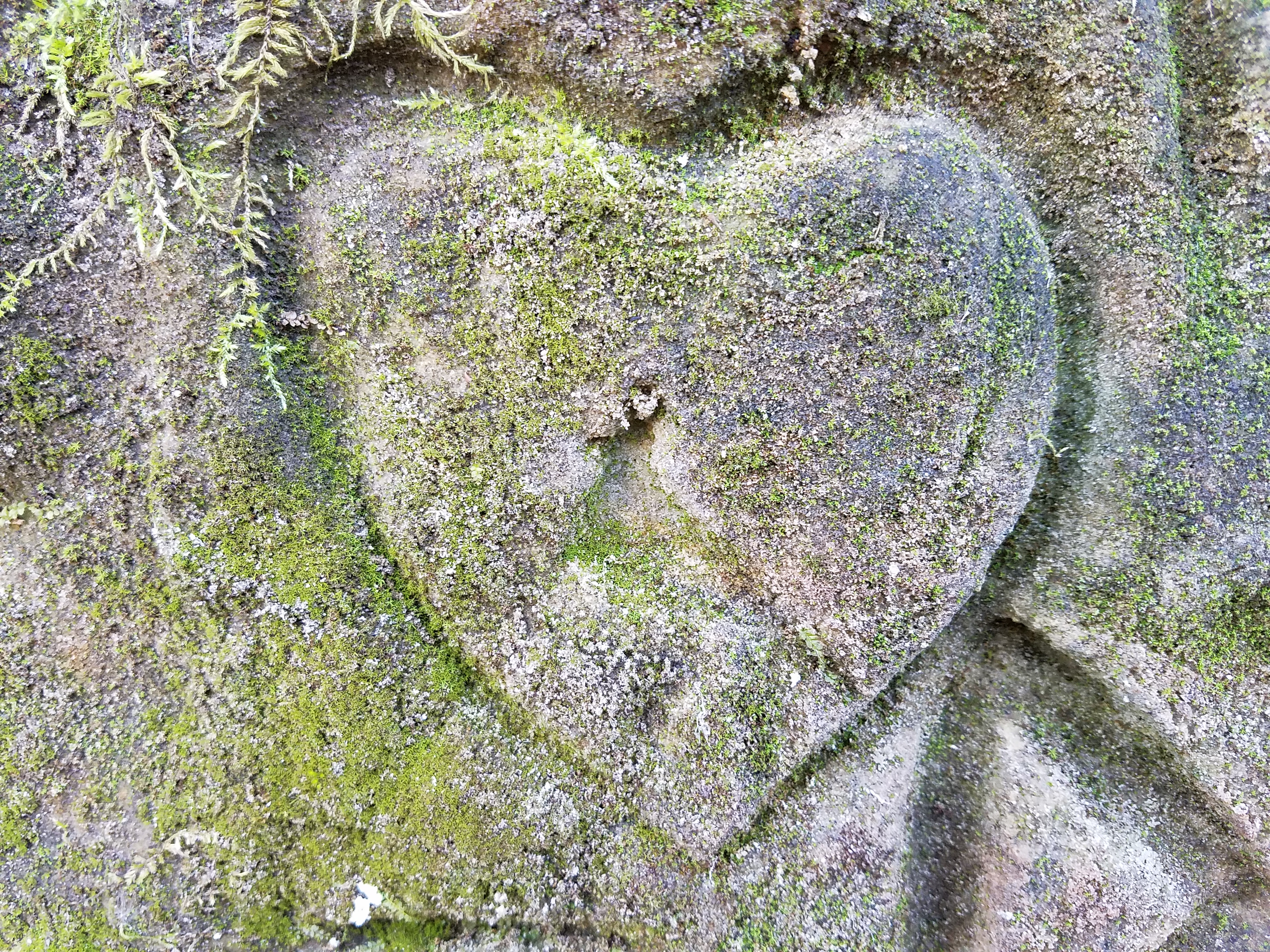 heart-of-stone-678.jpg