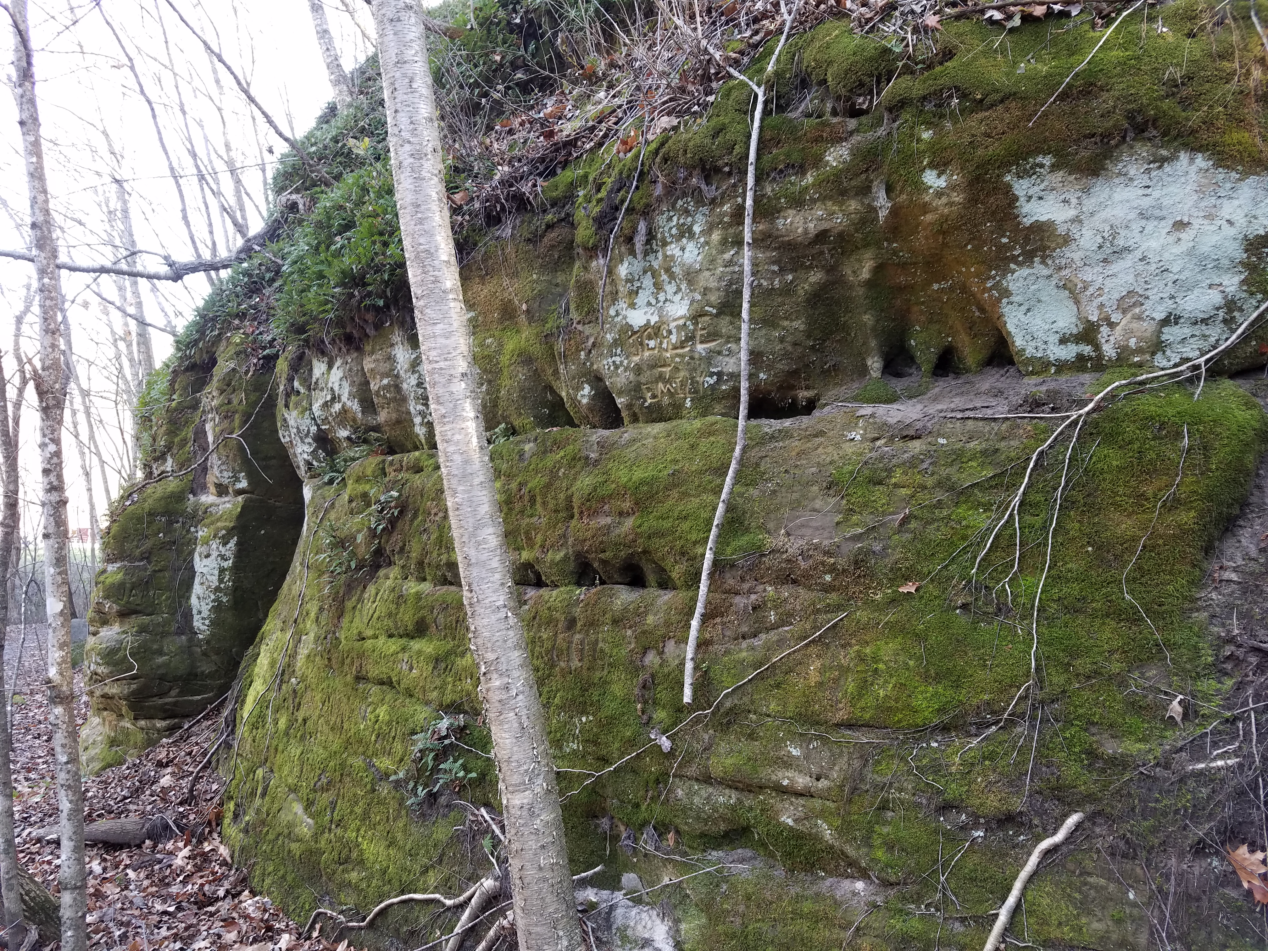 mossy-stone-wall-523.jpg